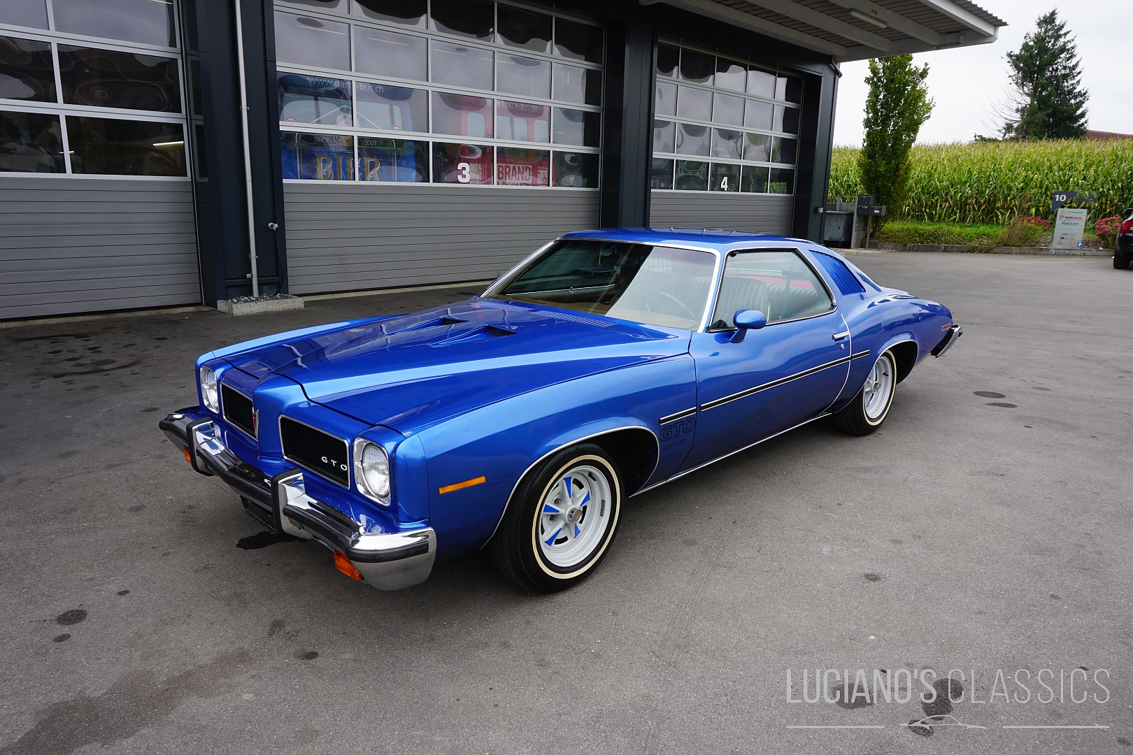 Pontiac GTO 