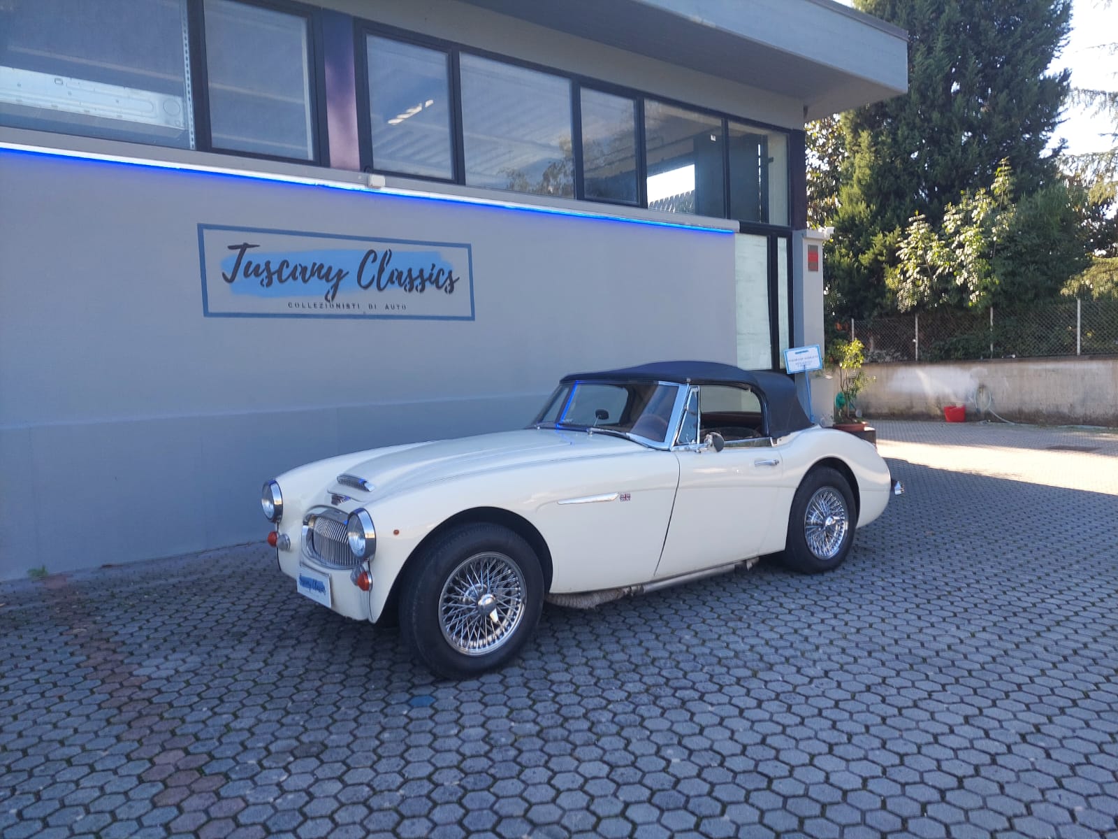 AUSTIN HEALEY 3000 MKIII BJ8