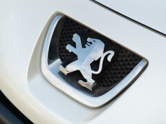 Peugeot 207 CC Effetto Suono 